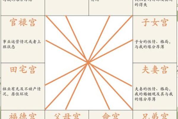 紫薇斗数看事业起色