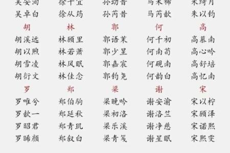 2019年6月20号子时出生的男孩起名时要注意什么姓名