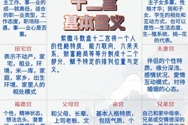 为什么紫薇斗数那么准