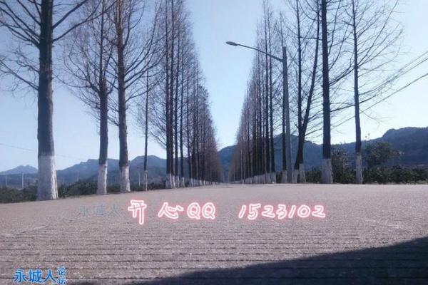 永城李寨附近算命的