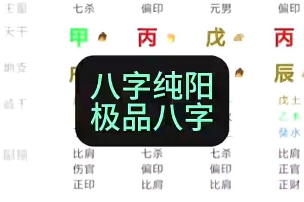 纯阳八字百年难遇是什么意思 什么是纯阳八字百年难遇 纯阳八字百年难遇是什么意思 什么是纯阳八字百年难遇