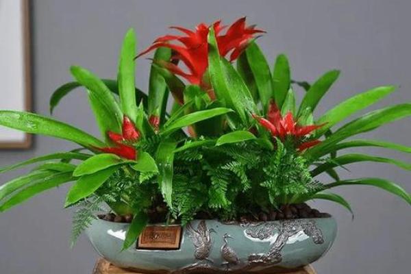 在这些情况下，风水能发挥效果