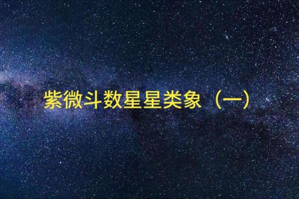 紫薇斗数中的紫微星