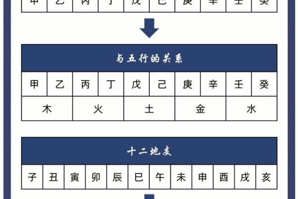 运程车易奇八字 运程车易奇八字
