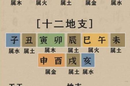 扒一扒：你该选择八字算命还是八卦预测？二者有何区别？