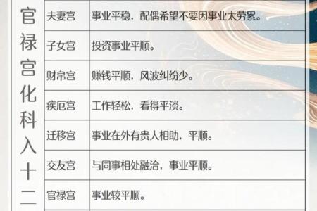 紫薇斗数中禄忌权科什么意思