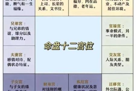 紫微斗数哪个宫位断事最准 紫微斗数各宫含义？