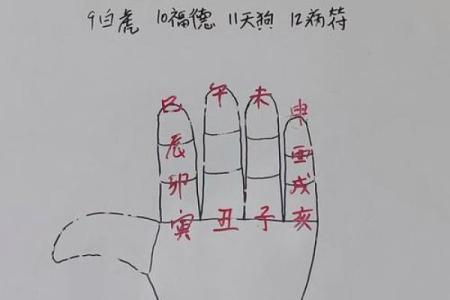 道教怎么看生辰八字算命
