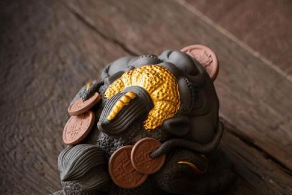 金蟾蜍的风水寓意及如何摆放