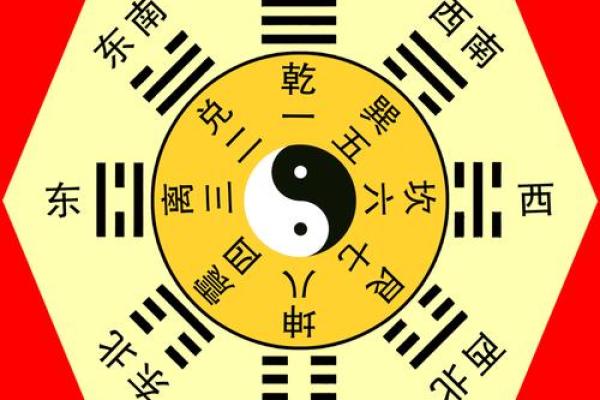 如何根据体弱多病八字强特点调整生活方式