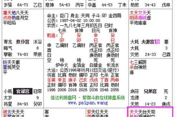 紫薇斗数命主详解
