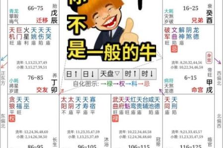 紫薇命理斗数app