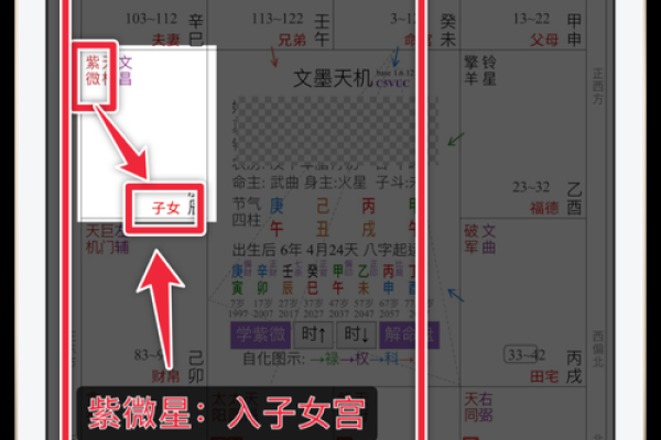 紫薇斗数欧美篇