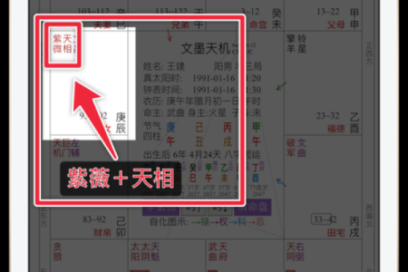 紫薇斗数欧美篇